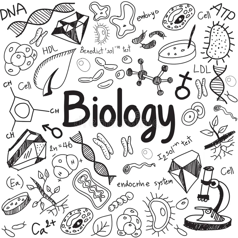 Class 12th Biology - Genetics and Evolution